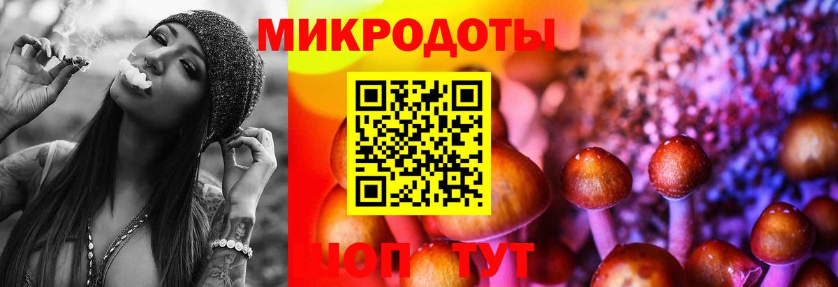 Алейск  закладки  Вход с VPN  Галлюциногенные грибы мицелий  Галлюциногенные грибы мицелий 